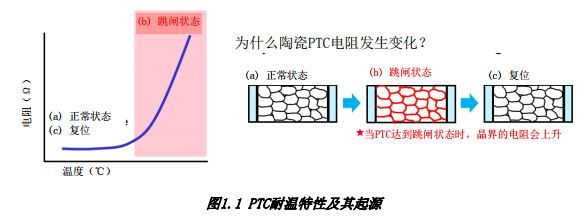 D1.1 PTC͜ԼԴ 